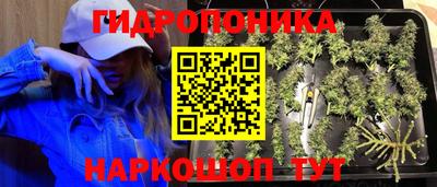 мяу мяу мука Азнакаево
