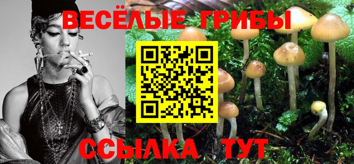 Галлюциногенные грибы прущие грибы Абакан