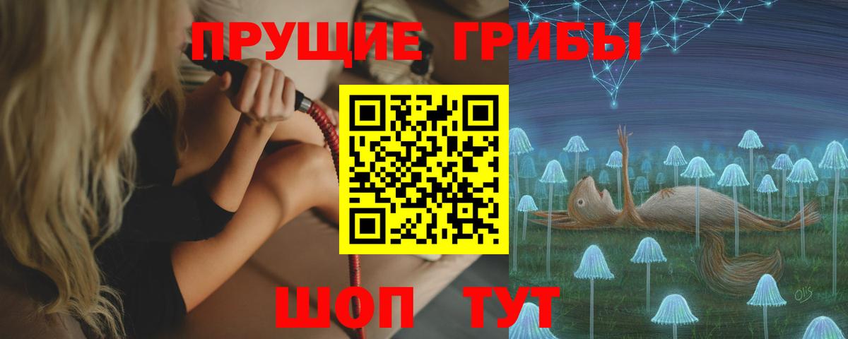 где купить наркотик  Псилоцибиновые грибы Psilocybine cubensis  Вход с VPN  Абакан  Псилоцибиновые грибы Psilocybine cubensis 